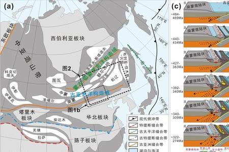 特提斯构造域主要地质特征