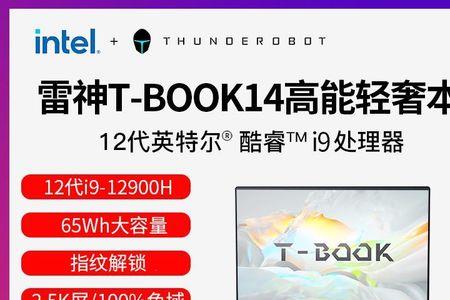 thonkbook14+能扩内存吗