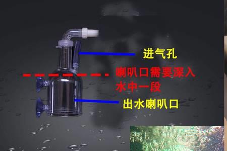 餐馆鱼缸进水管和出水管怎么放