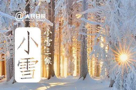 小雪气寒而将雪矣的将的读音