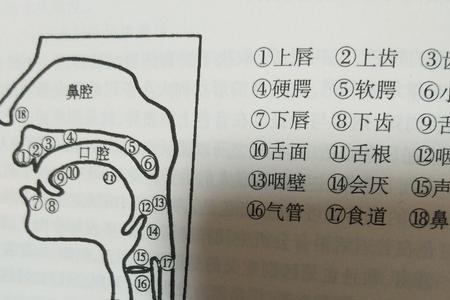 鸟鸣的名是哪前鼻音还是后鼻音