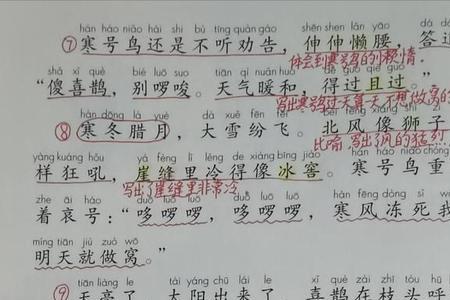 寒号鸟下一课是什么课