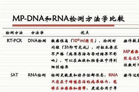 呵呵的情侣名字是什么