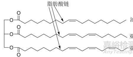 碳基酸生物是什么