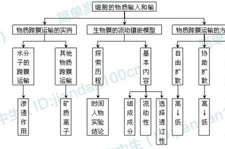 原生质层的概念和功能特性