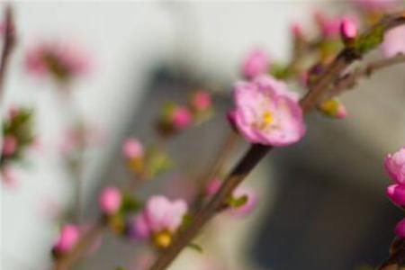 春寒季节是什么季节