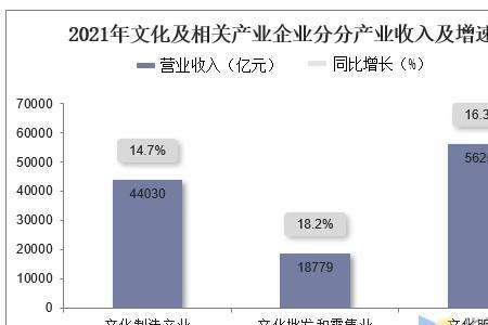 2021年中国文化成就以及存在的问题