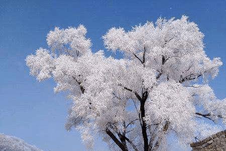 漫漫朔雪冷渔翁意思