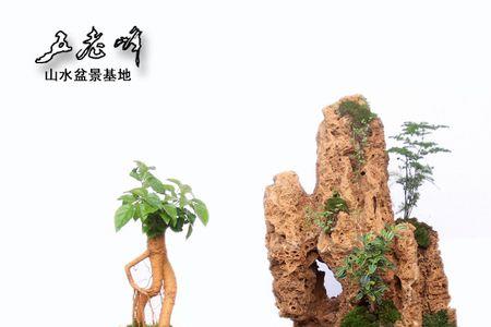 石青难溶于水吗