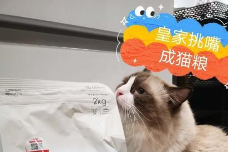 5kg猫粮一只猫能吃多久