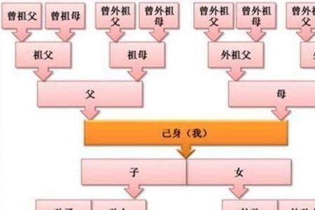 祖宗18代从上往下排怎么排