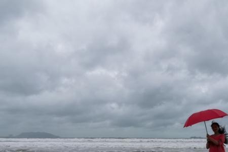 风雨中的近义词