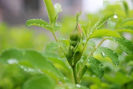 雨中打一数