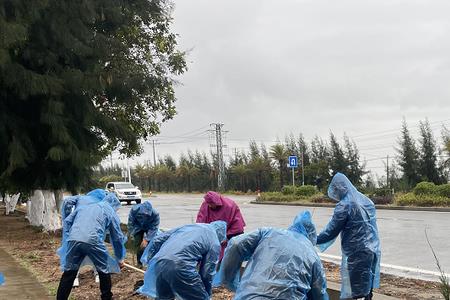 雨天种树存活率怎么样