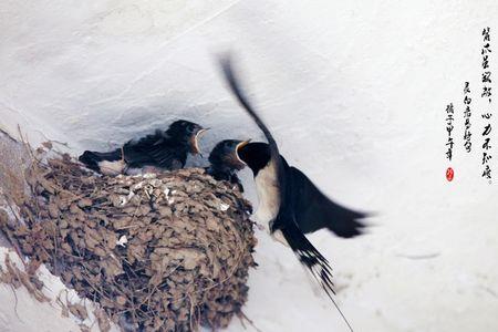 燕子捉虫。扩句