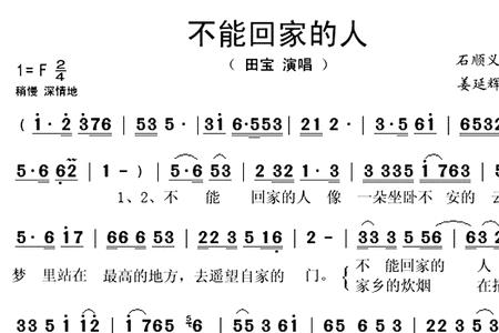 我要送你回家是哪首歌歌词