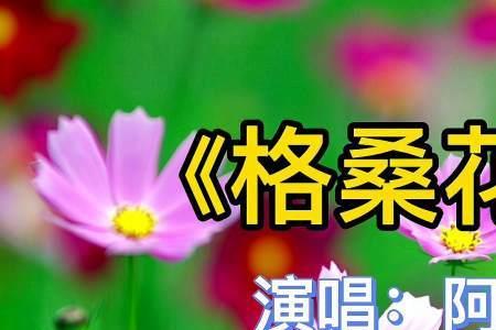 格桑花开歌曲原唱