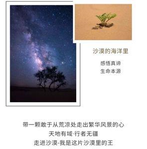 爱是无畏的梦想歌词