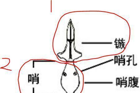 匈奴鸣镝20层怎么取消