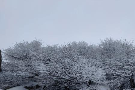 林海雪原修辞句