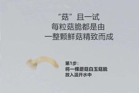 跟白玉菇一样灰色的是什么菇