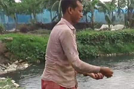 水塘养鱼下雨天为什么不能喂鱼