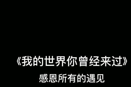 你的世界我来过、是什么意思