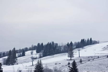 雪覆盖大地的诗句