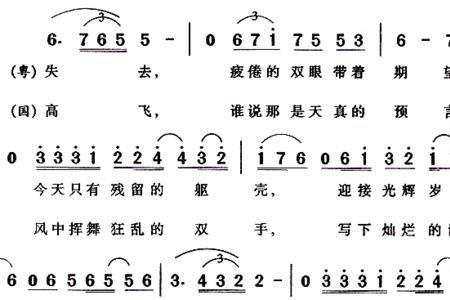 孙露光辉岁月歌词表达意思