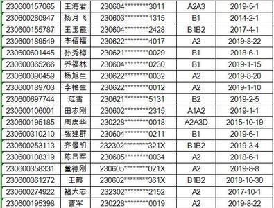 组织他人审验驾照的罚款多少