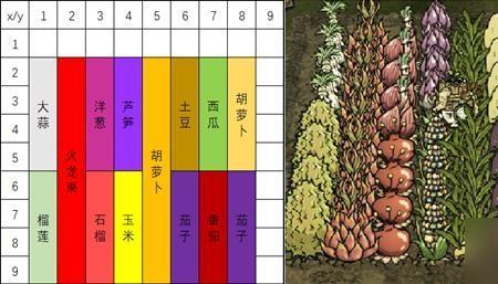 饥荒时为什么种红薯