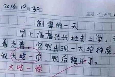 其妙无比哪个字错了