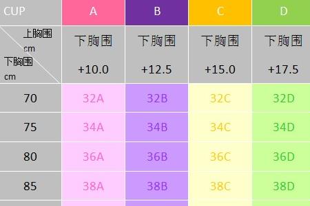 男生问胸围是多少什么意思