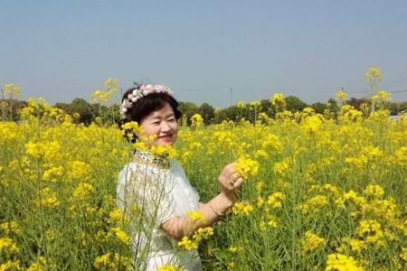 微笑的花像一段人世繁华什么歌