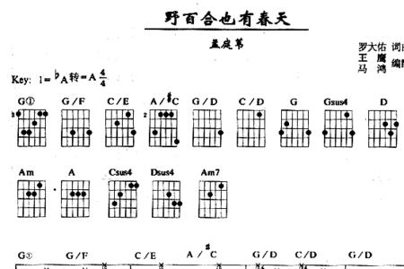 一个爱上浪漫的人歌词含义