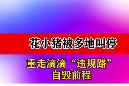 花小猪与滴滴同时怎么接单