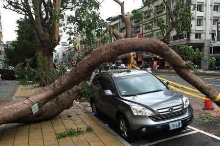 运气好到爆的国漫动漫主角