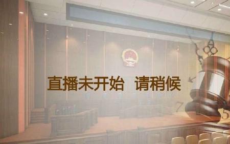 庭审公开直播网怎么查