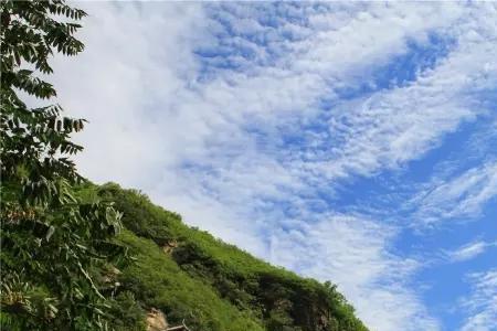 鹿鸣见山出自哪里