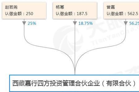 嘉行传媒老板是谁