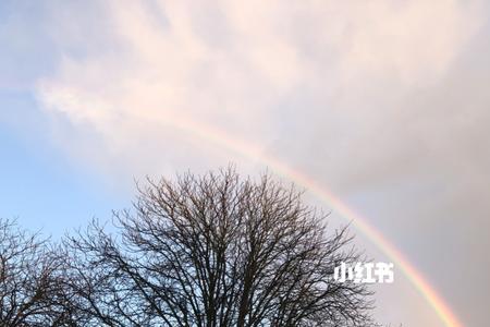 rainbow的意思