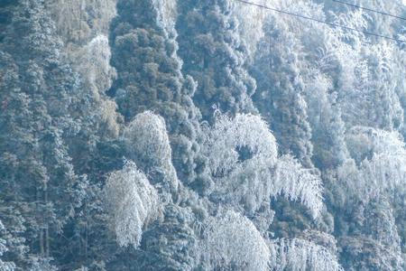 我等南方下雪什么意思