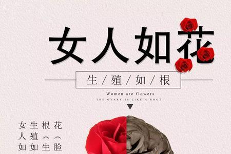 女人如花亦如诗歌词含义