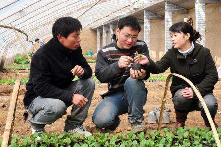 大学生村官怎么报考