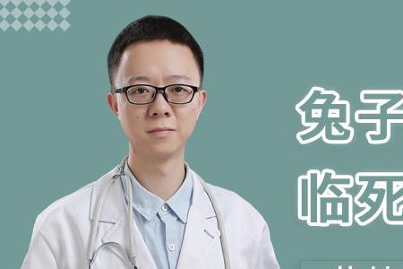 兔子刚死身上是热乎的还能活吗