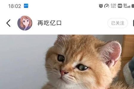 怎样才能劝爷爷奶奶，让我们养猫