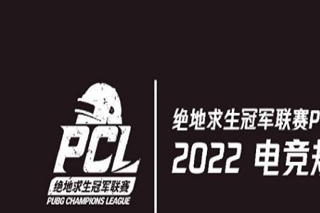 pgc总决赛资格赛赛制