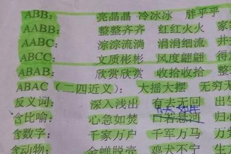 什么人什么目4个字成语