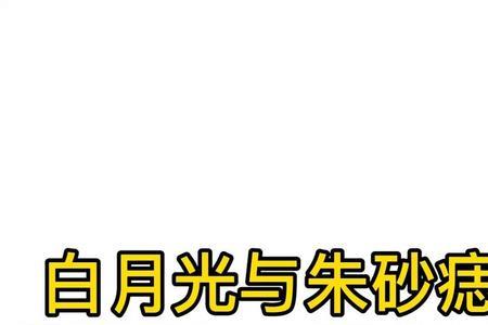 白月光和朱砂痣歌词赏析