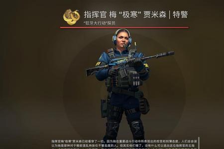 csgo探员皮肤是不是通用